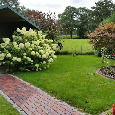 Апартаменты Haus-schiffer-ferienwohnung-lilli